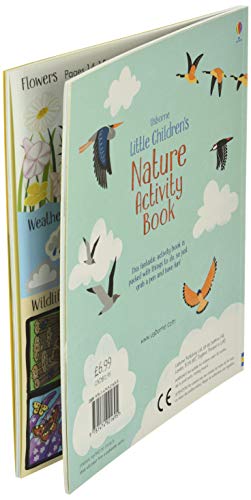 Little Children's Nature Activity Book