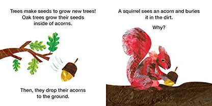 How Does a Seed Sprout?: Life Cycles with The Very Hungry Caterpillar (The World of Eric Carle)