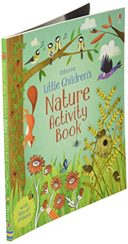 Little Children's Nature Activity Book