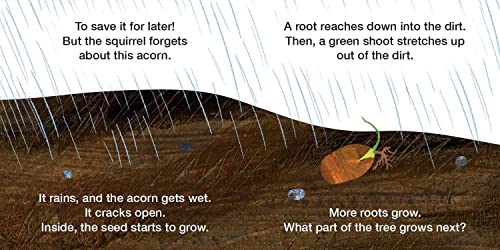 How Does a Seed Sprout?: Life Cycles with The Very Hungry Caterpillar (The World of Eric Carle)