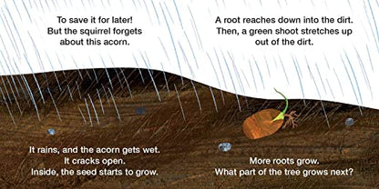 How Does a Seed Sprout?: Life Cycles with The Very Hungry Caterpillar (The World of Eric Carle)