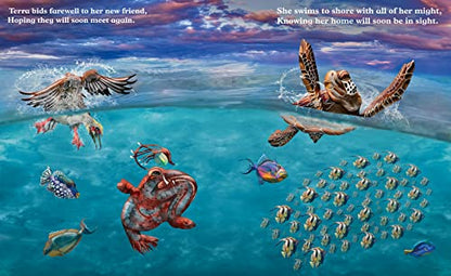 Dreaming of the Ocean (An educational children's picture book about sea creatures, including turtles, fish, giant squid, anglerfish, and whales - a great bedtime / good night story for kids)