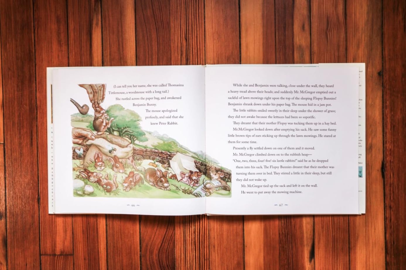 The Classic Tale of Peter Rabbit Hardcover: The Classic Edition by The New York Times Bestselling Illustrator, Charles Santore (Charles Santore Children's Classics)