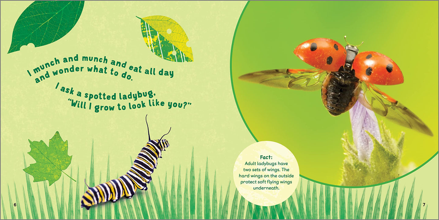 The Backyard Bug Book for Kids: Storybook, Insect Facts, and Activities (Let's Learn About Bugs and Animals)